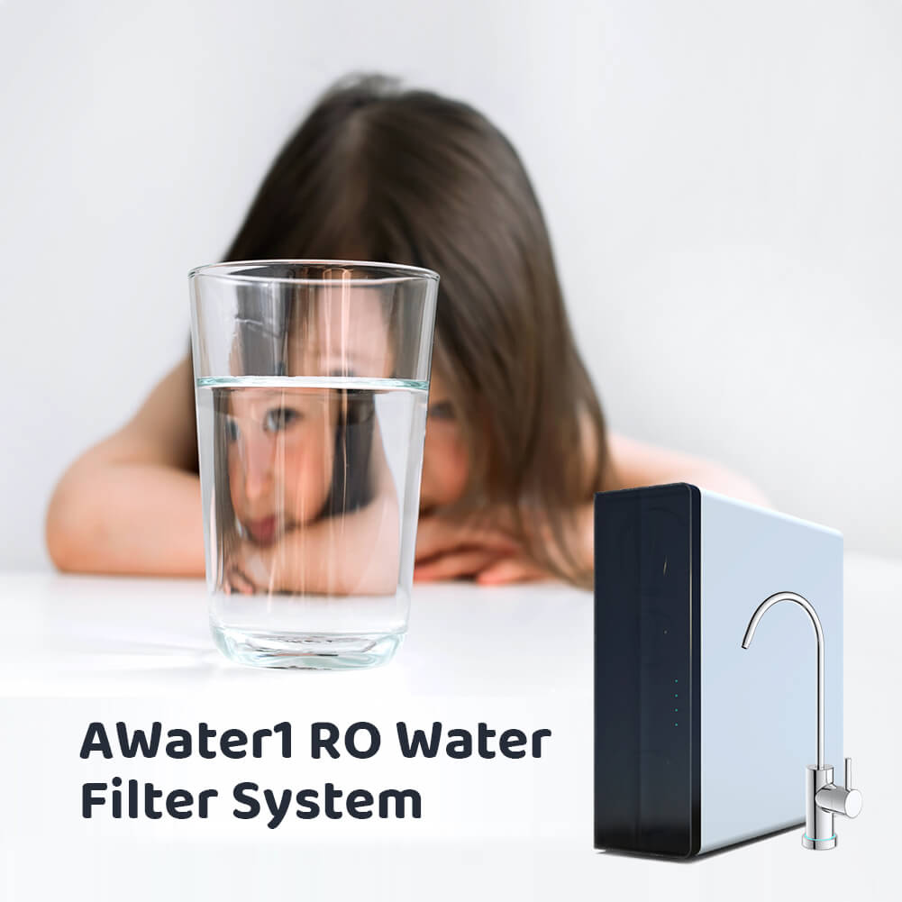 Why body needs water every day?