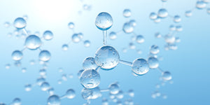 What is the difference between alkaline water and ionized water?