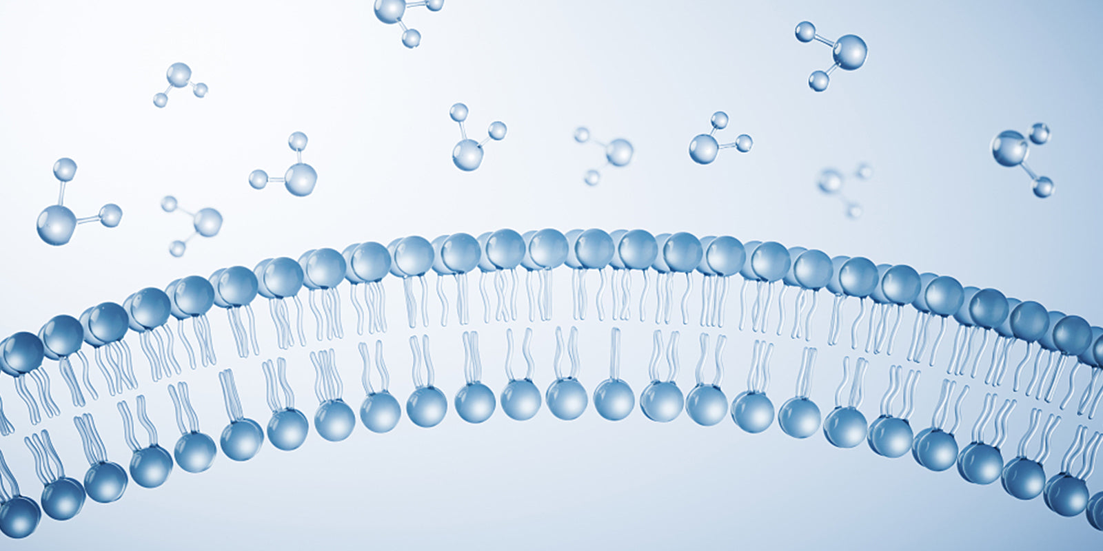 Ultrafiltration or Reverse Osmosis? Choose the Best Purifier for You!