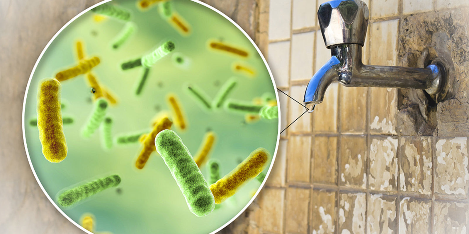 What Can We Do about Water Pollution?