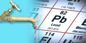 What are the effects of lead in drinking water?