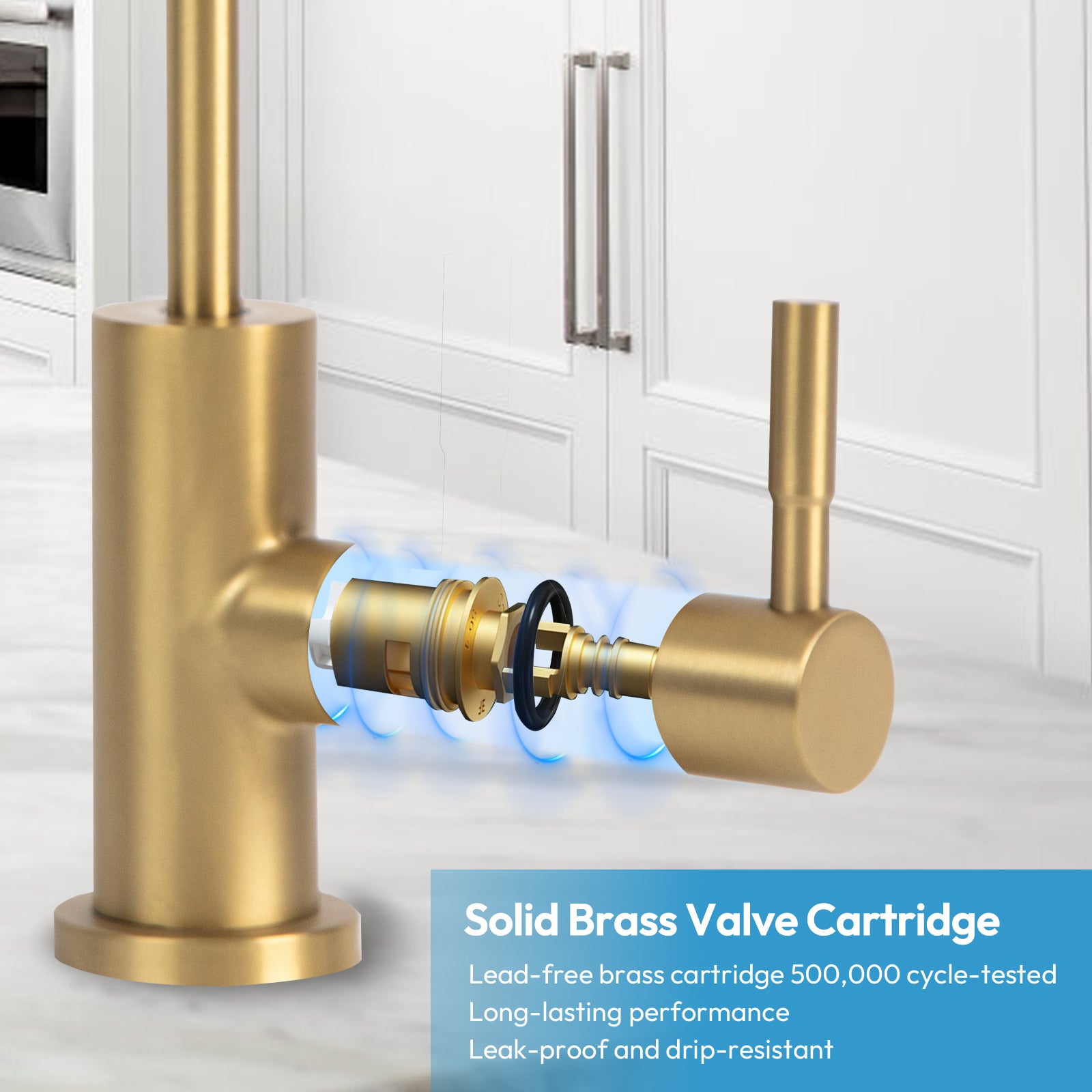 Besdor Reverse Osmosis Faucet, Filtered RO Drinking Water Faucet, Brushed Gold